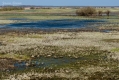033_Biebrza - kwiecien 2010